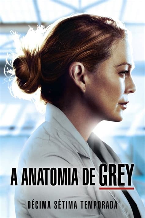 grey's anatomy completo dublado torrent.